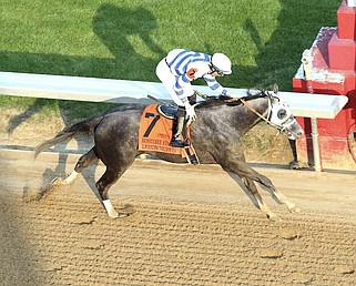 Trainer D. Wayne Lukas' Lemon Muffin takes the $400,000 Honeybee Stakes (G3) on Feb. 24 at Oaklawn Park, giving jockey Keith Asmussen his first graded stakes career win. (Submitted photo courtesy of Coady Photography)